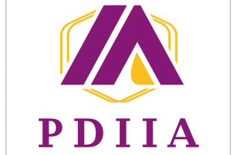 内审协会 LOGO