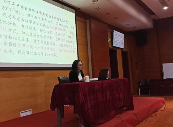 20201111 浦东新区内部审计师协会举办“大数据与信息系统审计”讲座 通信稿1