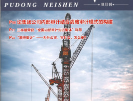 《浦东内审》2021年第1期-1