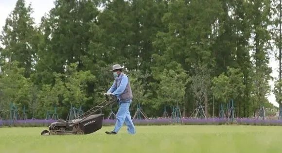 20220529 繁花盛开，静待你来——上海世纪公园为恢复开园做积极准备-1
