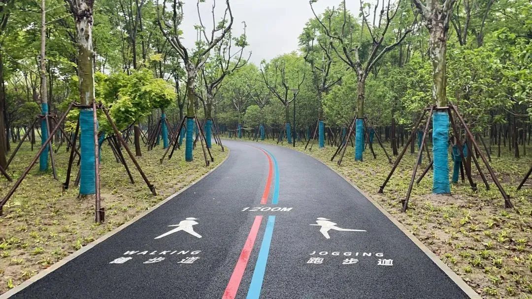 20220825 开窗见绿色、漫步进公园、四季闻花香！浦东积极推动公园城市建设，打造高品质生态引领区-4