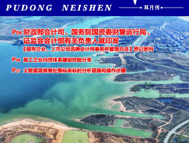 浦东内审 185_页面_1