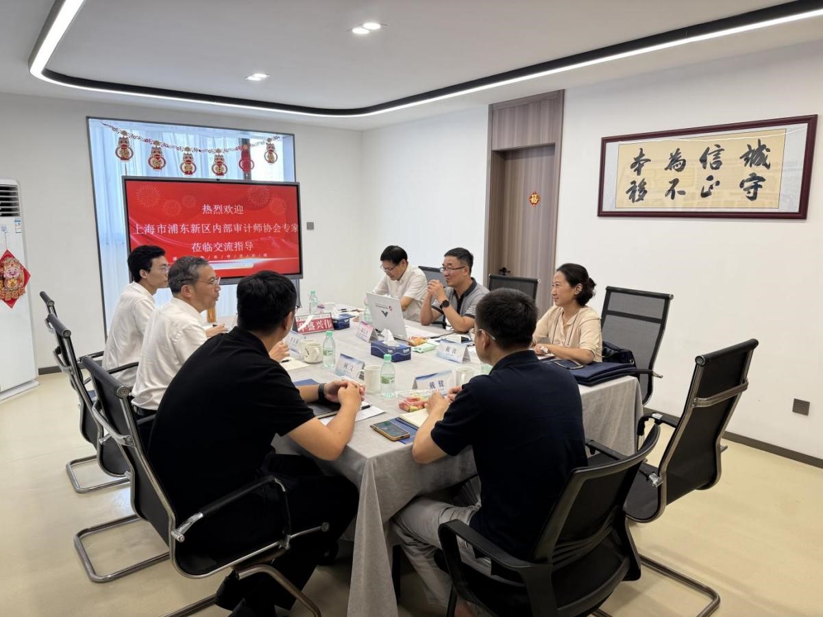 20250807 上海浦东新区内审协会专家组来华盛兴伟业务指导-1
